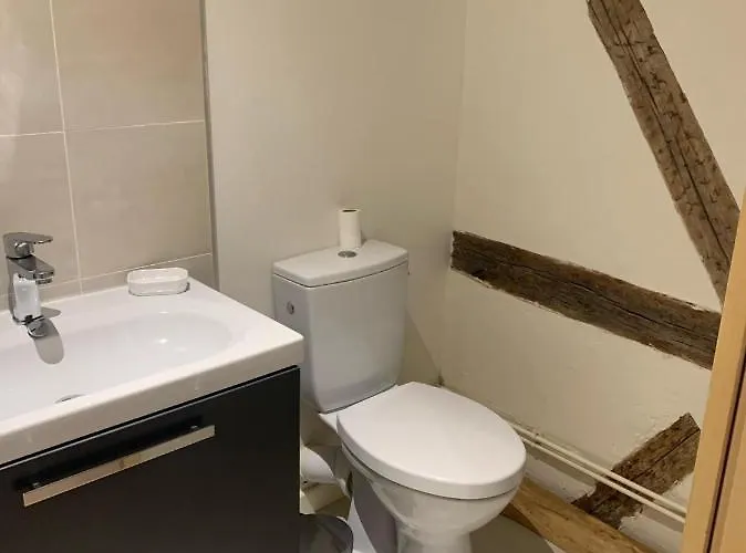 Apartman Bel En Coeur De - 20 Minutes Du Pal Moulins